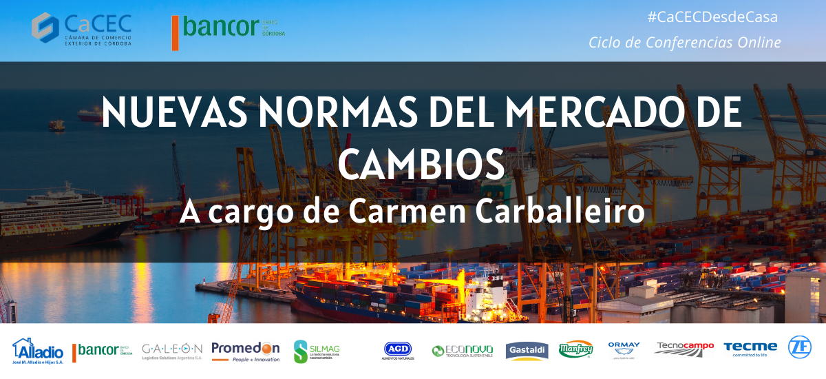 Conferencia on line: Nuevas Normas del Mercado de Cambios