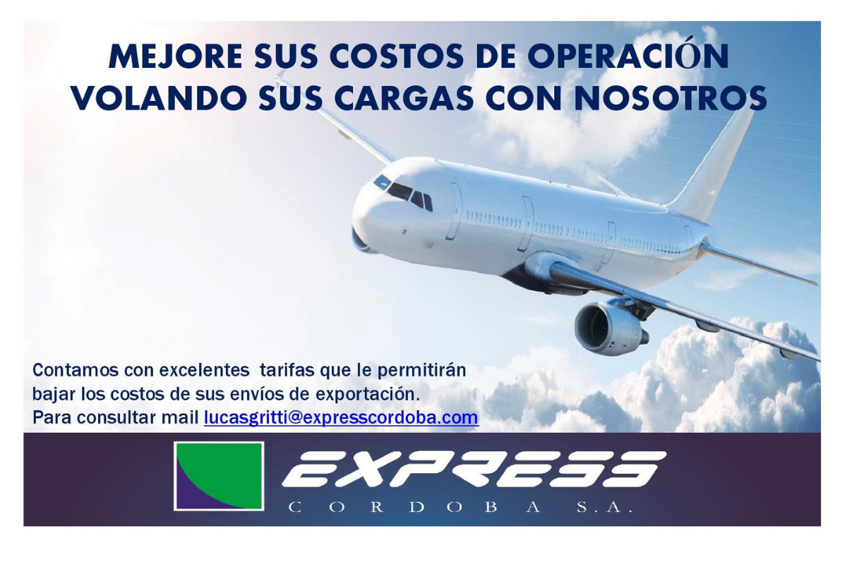 Optimice sus costos en cargas aéreas