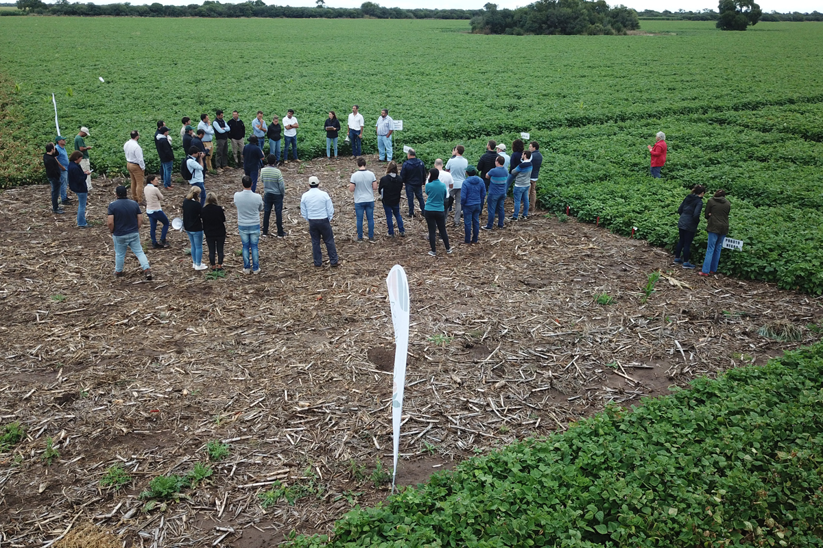 Se realizó en el norte cordobés la 19ª Jornada de Cultivos Especiales